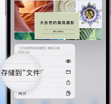 海曙apple维修中心分享iPhone文件应用中存储和找到下载文件