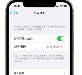 海曙apple服务站点分享iPhone上个人热点丢失了怎么办 