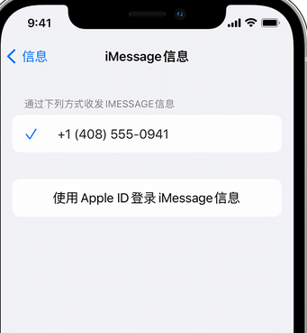 海曙apple维修iPhone上无法正常发送iMessage信息 