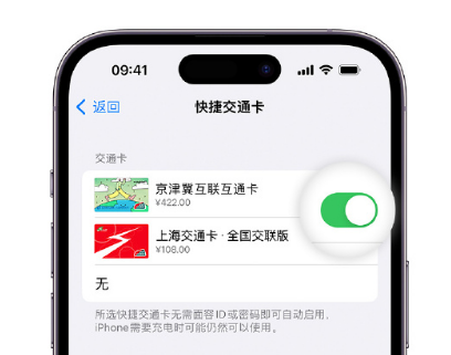 海曙apple维修点分享iPhone上更换Apple Pay快捷交通卡手绘卡面 