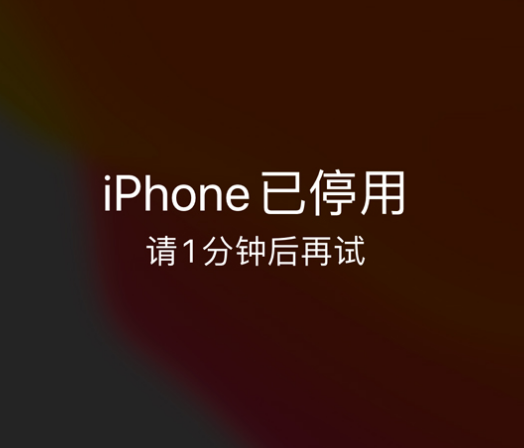 海曙苹果手机维修分享:iPhone 显示“不可用”或“已停用”怎么办？还能保留数据吗？ 