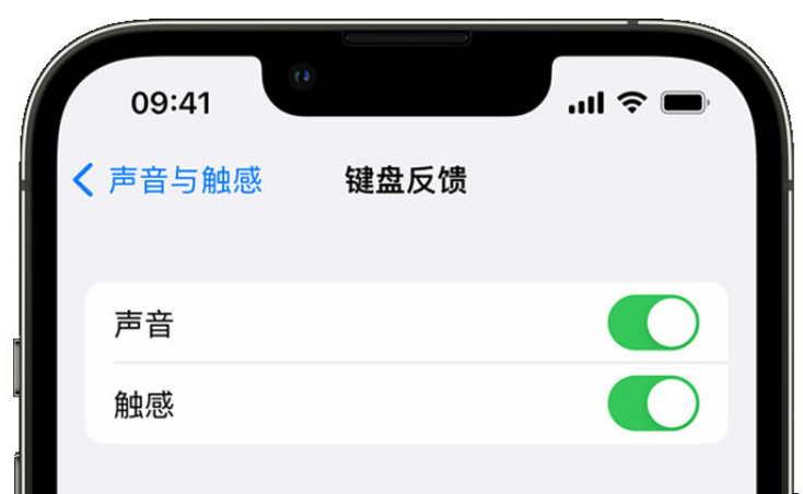 海曙苹果手机维修分享iPhone 14触感键盘使用方法 