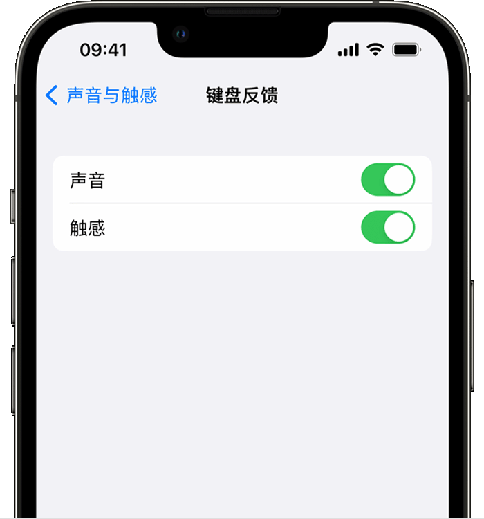 海曙苹果14维修店分享如何在 iPhone 14 机型中使用触感键盘 