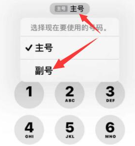 海曙苹果14维修店分享iPhone 14 Pro Max使用副卡打电话的方法 