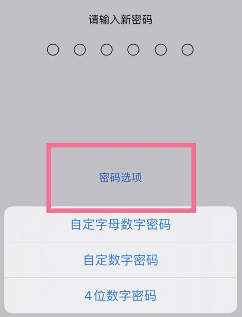 海曙苹果14维修分享iPhone 14plus设置密码的方法 