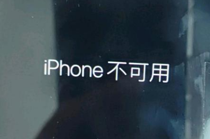 海曙苹果服务网点分享锁屏界面显示“iPhone 不可用”如何解决 