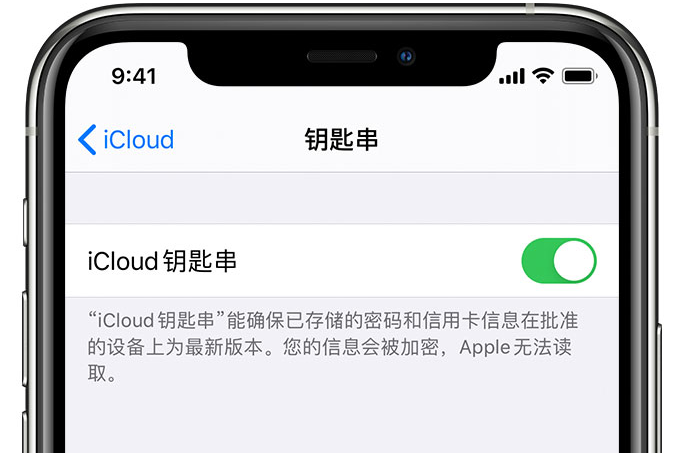 海曙苹果手机维修分享在 iPhone 上开启 iCloud 钥匙串之后会储存哪些信息 